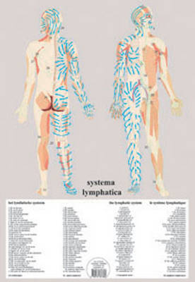 Systema Lymphatica -- A2 - Jan van Baarle