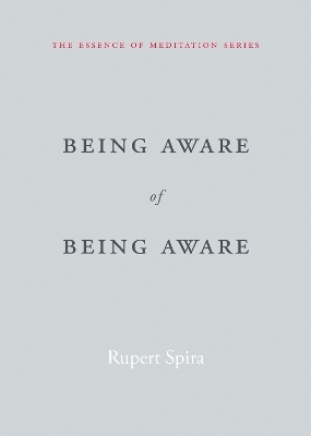 Being Aware of Being Aware - Rupert Spira