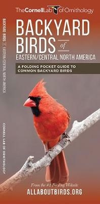 Backyard Birds of Eastern/Central North America - The Cornell Lab of Ornithology