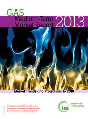 Medium-term gas market report 2013 -  International Energy Agency