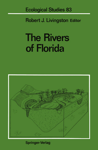 The Rivers of Florida