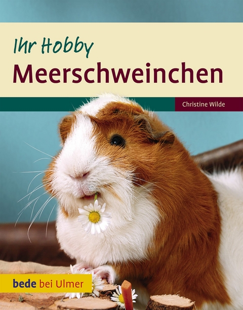 Meerschweinchen Ihr Hobby - Christine Wilde