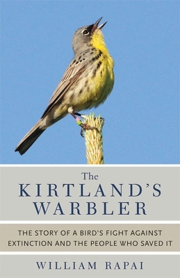 The Kirtland's Warbler - William Rapai