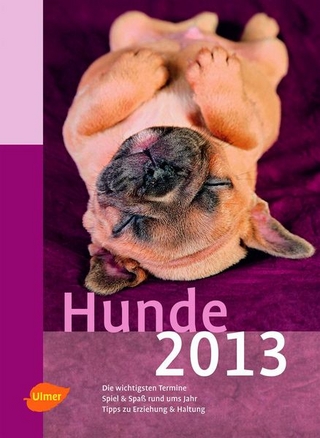 Hunde 2013