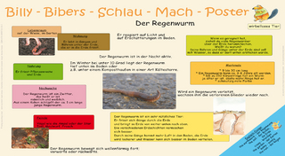 Billy-Bibers-Schlau-Mach-Poster - Der Regenwurm