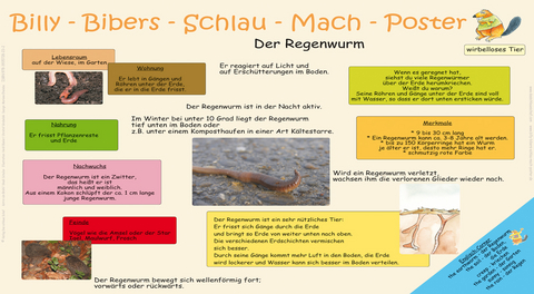 Billy-Bibers-Schlau-Mach-Poster - Der Regenwurm