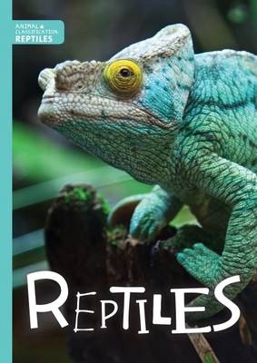 Reptiles - Steffi Cavell-Clarke