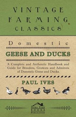 Domestic Geese And Ducks - A Complete And Authentic Handbook And Guide For Breeders, Growers And Admirers Of Domestic Geese And Ducks - Paul Ives