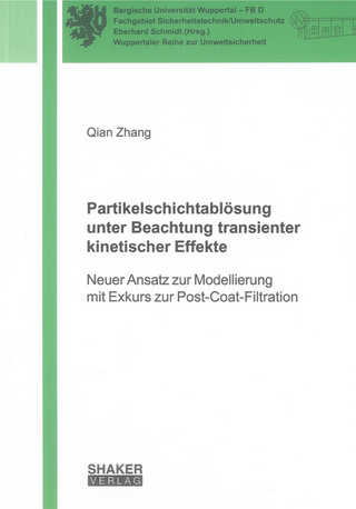Partikelschichtablösung unter Beachtung transienter kinetischer Effekte