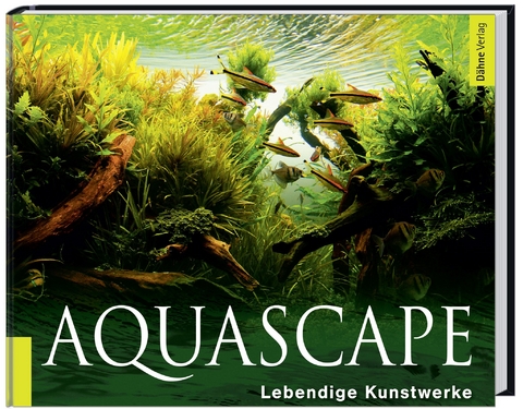 Aquascape