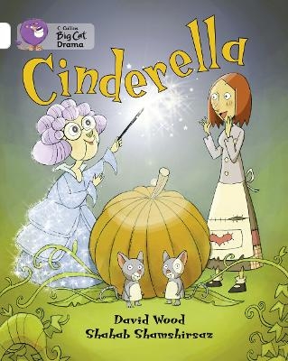 Cinderella - David Wood, Shahab Shamshirsaz
