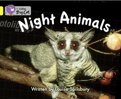 Night Animals - Louise Spilsbury