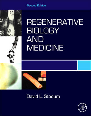 Regenerative Biology and Medicine - David L. Stocum