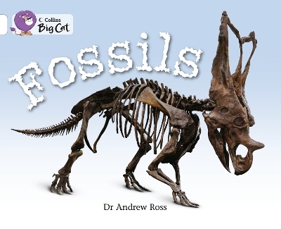 Fossils - Dr Andrew Ross