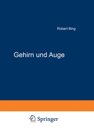 Gehirn und Auge