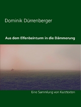 Aus dem Elfenbeinturm in die D&auml;mmerung - Dominik D&uuml;rrenberger