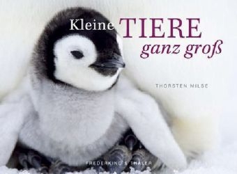 Kleine Tiere ganz gro&szlig; &ndash; Tischaufsteller im Schuber - Thorsten Milse