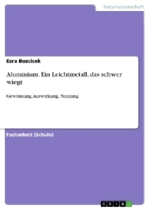 Aluminium. Ein Leichtmetall, das schwer wiegt - Esra Bozcicek
