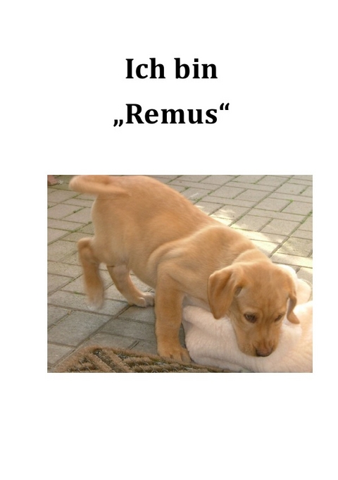 "Ich bin Remus" - Achim von Domarus