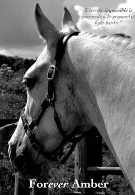 Forever Amber