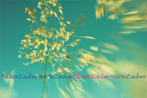 Bl&uuml;tenZauberWorte - Elisa Erni, Priska Trautwein