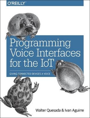 Programming Voice Interfaces - Walter Quesada, Ivan Aguire