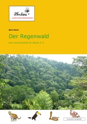 Der Regenwald