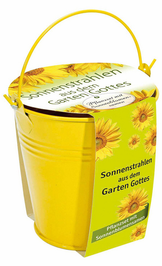 Sonnenstrahlen aus dem Garten Gottes