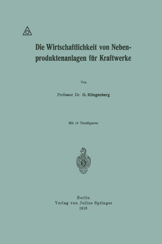 Die Wirtschaftlichkeit von Nebenproduktenanlagen für Kraftwerke