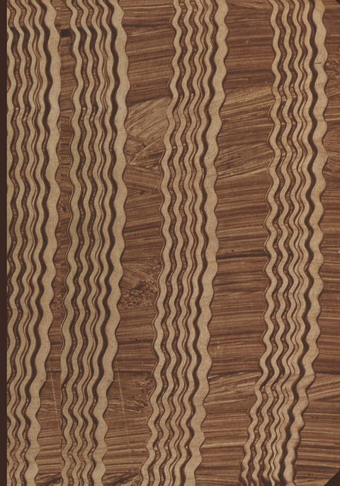 Ergebnisse der Hygiene Bakteriologie Immunit&auml;tsforschung und Experimentellen Therapie - Wolfgang Weichardt