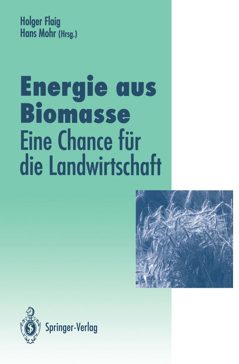 Energie aus Biomasse - 