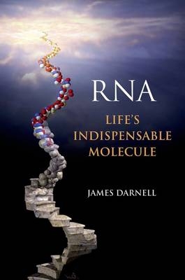 RNA