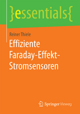Effiziente Faraday-Effekt-Stromsensoren - Reiner Thiele