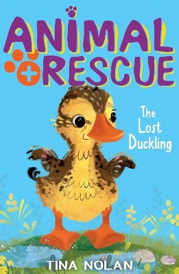 The Lost Duckling - Tina Nolan