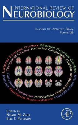 Imaging the Addicted Brain - 