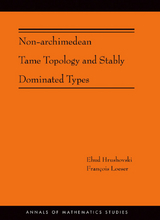 Non-Archimedean Tame Topology and Stably Dominated Types - Ehud Hrushovski, François Loeser