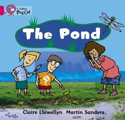 The Pond - Claire Llewellyn
