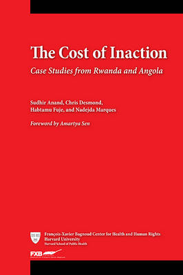 The Cost of Inaction - Sudhir Anand, Chris Desmond, Habtamu Fuje, Nadejda Marques