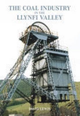 The Llynfi Valley Coal Industry - David Lewis
