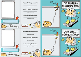 Computer-Führerschein - Klassensatz Führerscheine