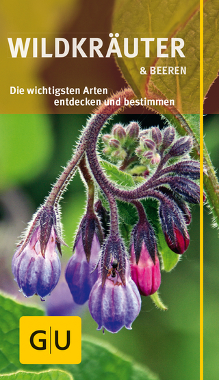 Wildkräuter und Beeren