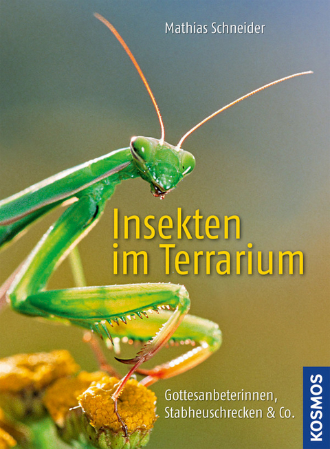 Insekten im Terrarium - Mathias Schneider