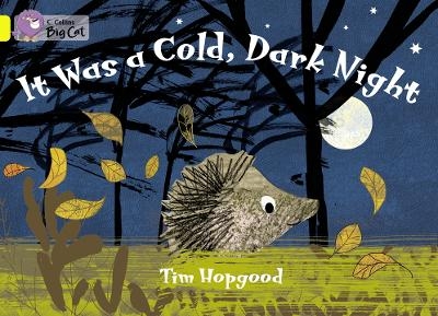 It Was a Cold Dark Night - Tim Hopgood
