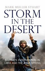 Storm in the Desert - Mark Muller Stuart