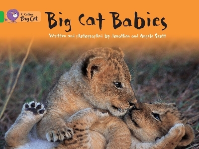Big Cat Babies - Jonathan Scott, Angela Scott