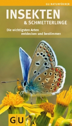 Insekten und Schmetterlinge - Ingrid von Brandt