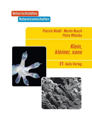 Unterrichtshilfen Naturwissenschaften: Klein, kleiner, nano - mit CD