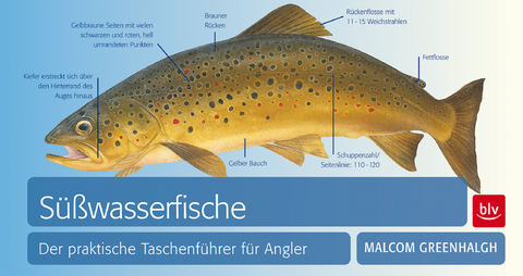 S&uuml;&szlig;wasserfische - Malcom Greenhalgh