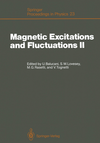 Magnetic Excitations and Fluctuations II