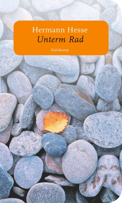 Unterm Rad - Hermann Hesse